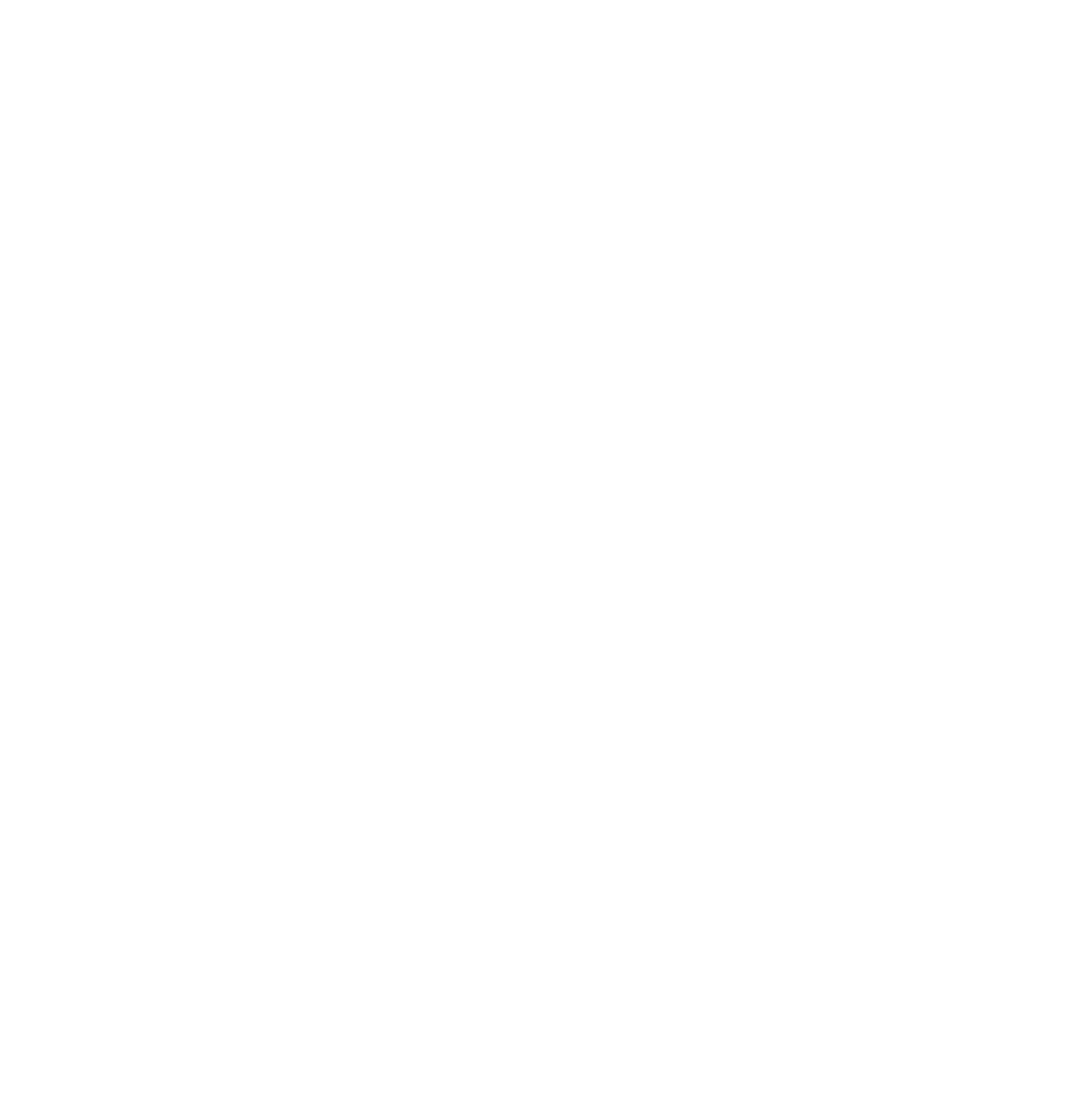 American Discount Logo White